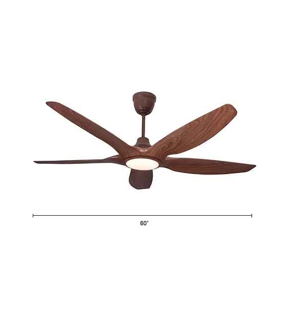 Acorn designer Fan