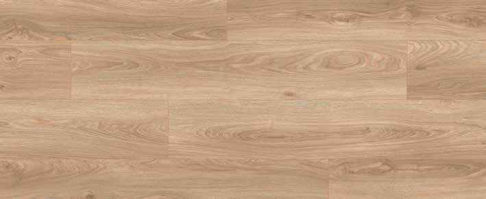 Oak Umber