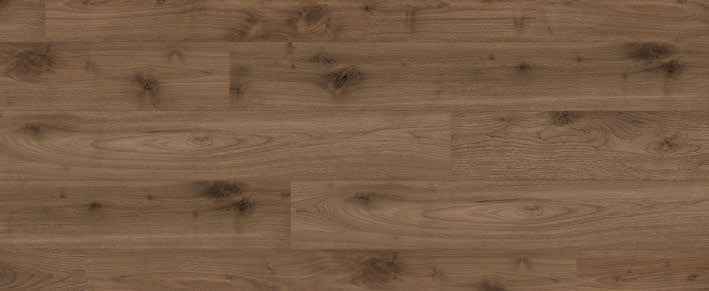 Teak Teak India