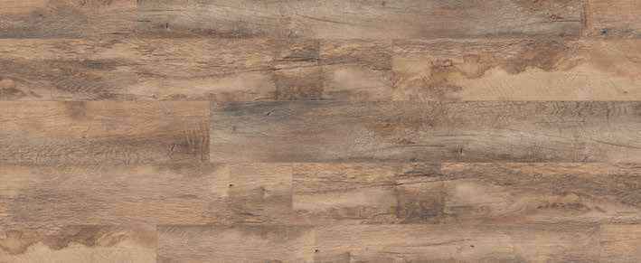 Teak Teak India