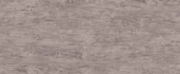 Teak Teak India