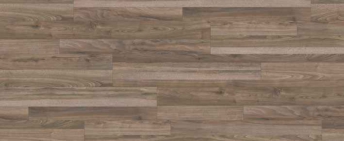 Teak Teak India