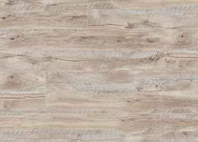 Kiefer Pine Madera Blanda