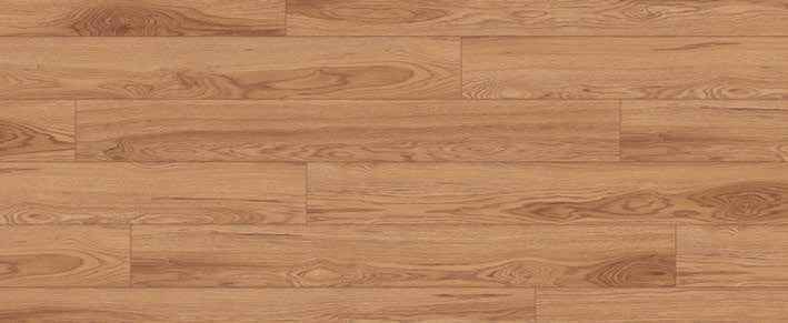 Teak Teak India