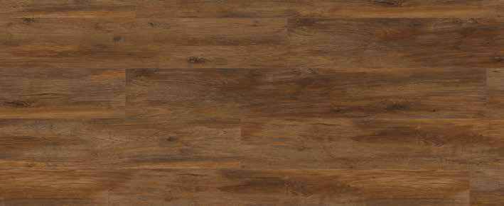 Oak Umber