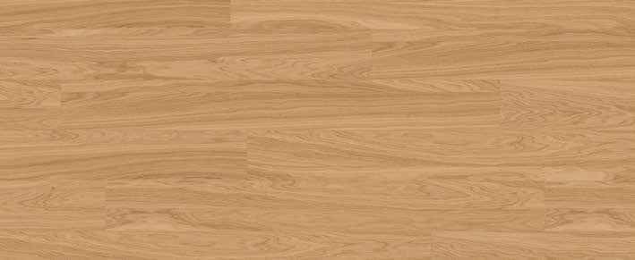 Teak Teak India