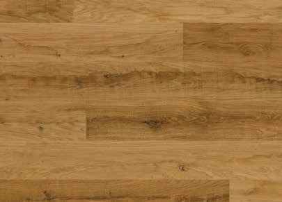 Eiche Oak Solid