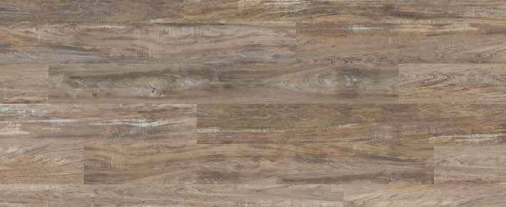 Teak Teak India