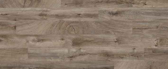 Eiche Oak Evoke Concrete