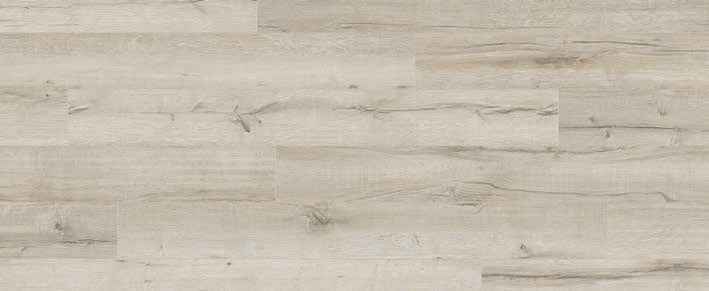 Teak Teak India