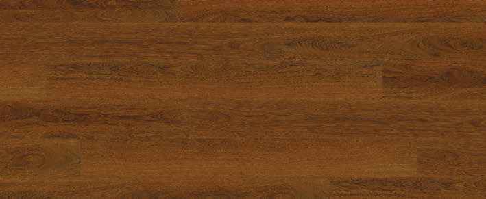 Teak Teak India