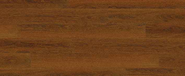 Oak Umber