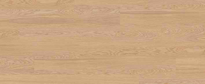 Teak Teak India