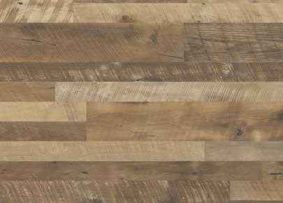 Teak Teak India