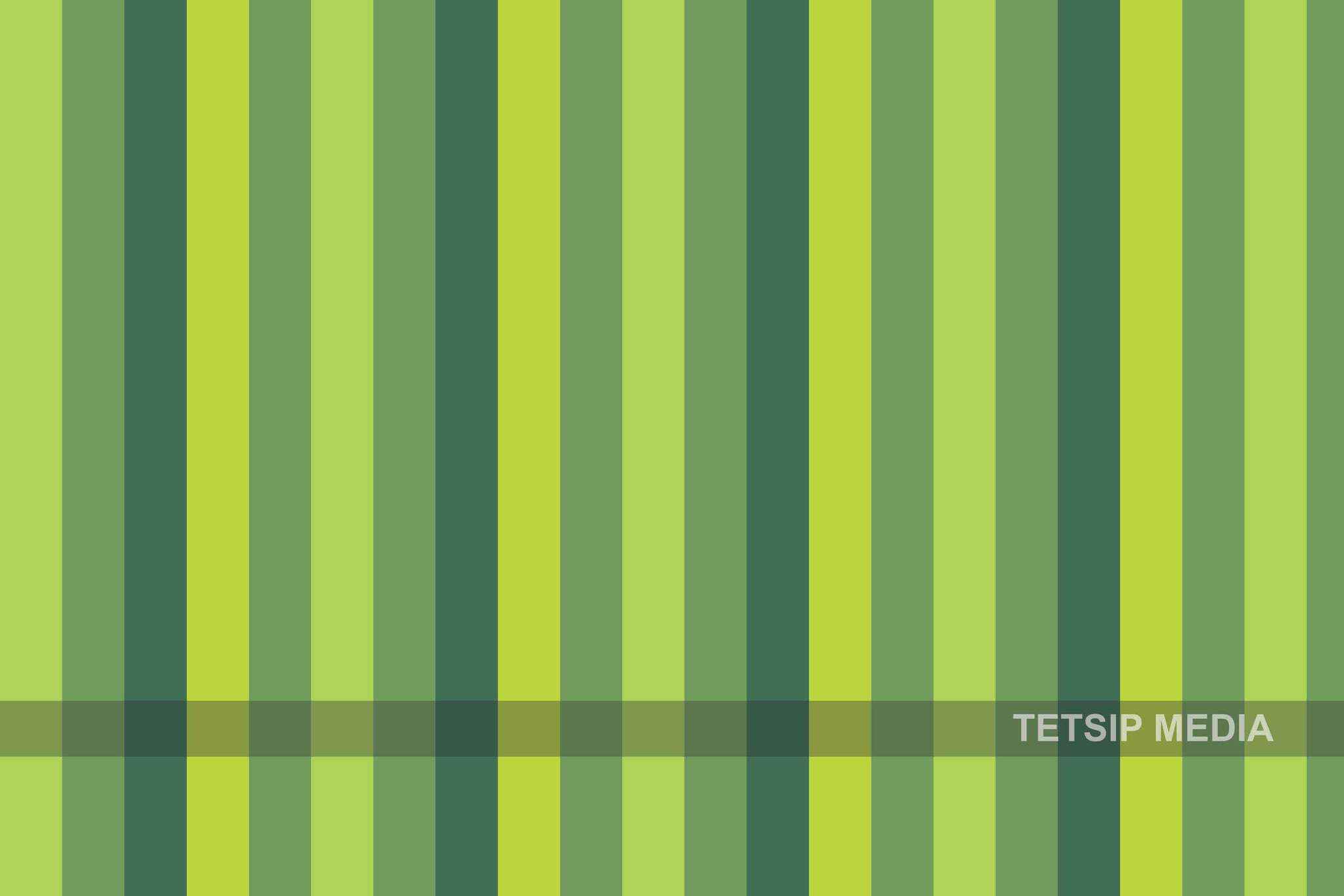 Olive Green Monochromatic Stripes