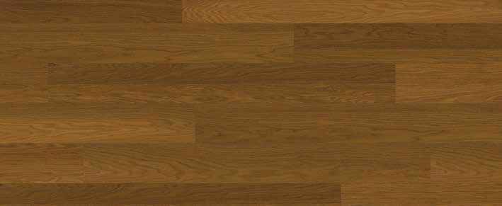 Teak Teak India
