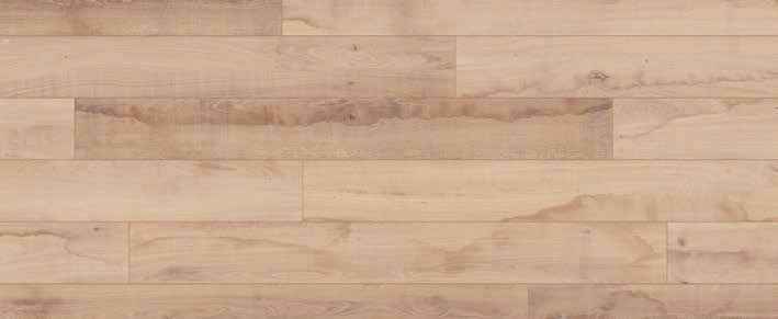 Teak Teak India
