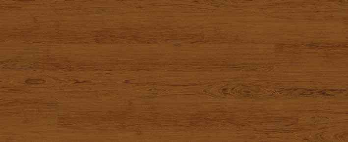 Oak Umber