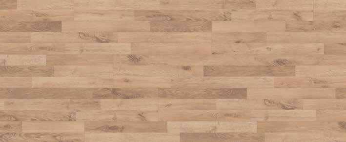 Teak Teak India