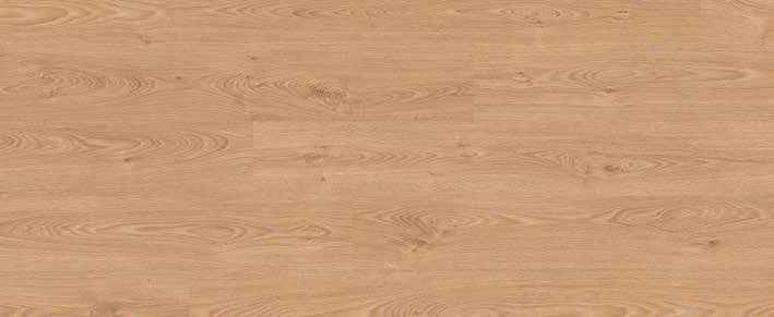 Teak Teak India