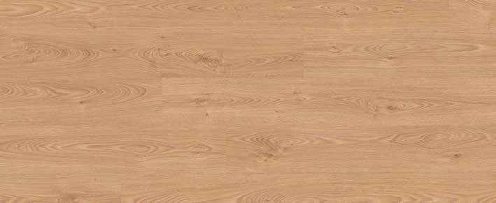 Oak Umber