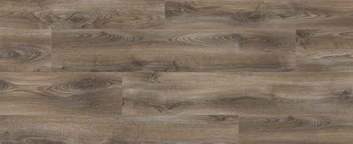 Teak Teak India