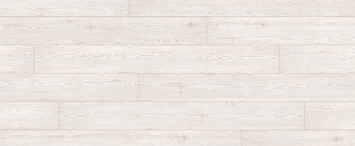 Teak Teak India