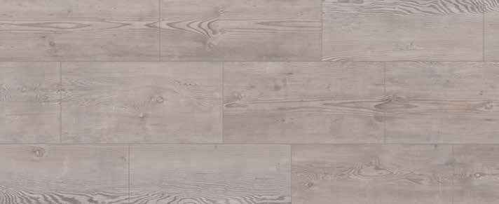Teak Teak India