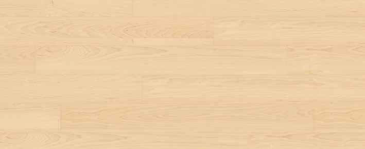 Teak Teak India