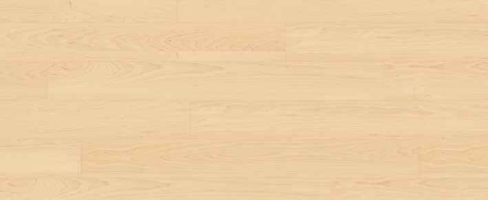 Travertine Lappato Beige