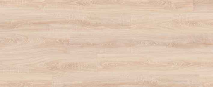 Teak Teak India
