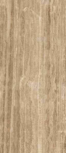 Teak Teak India