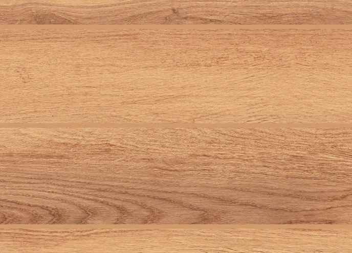 Teak Teak India