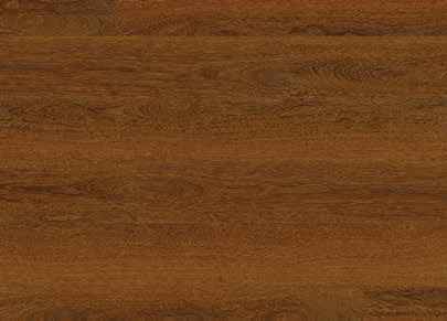 Teak Teak India