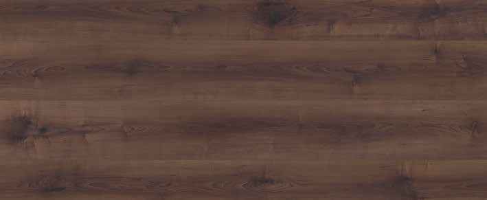 Teak Teak India