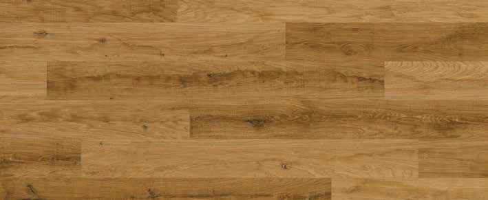 Teak Teak India
