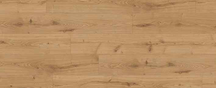 Teak Teak India