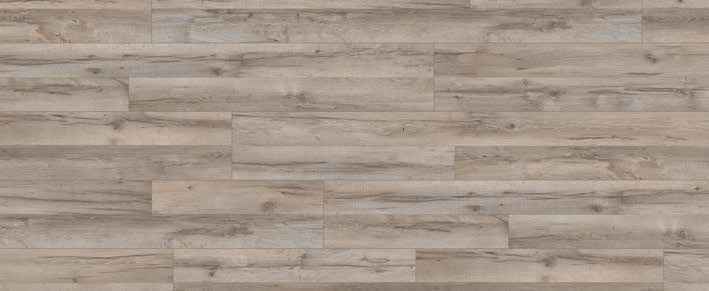 Teak Teak India