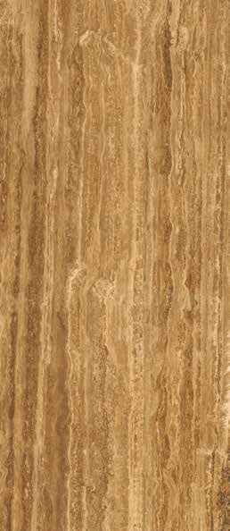 Teak Teak India