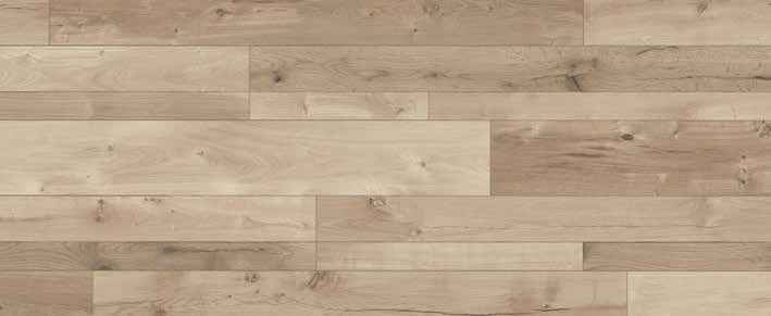 Teak Teak India