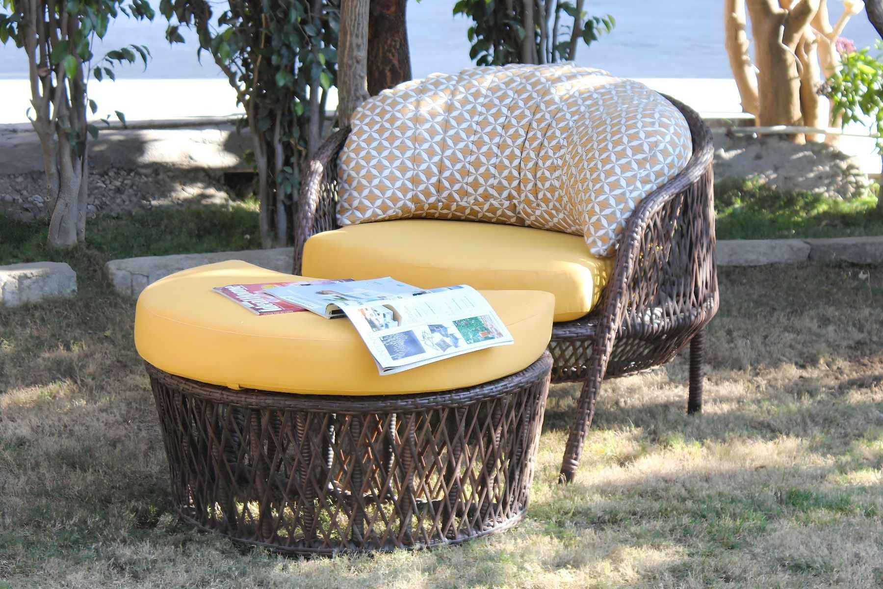 Daisy Swivel Chair