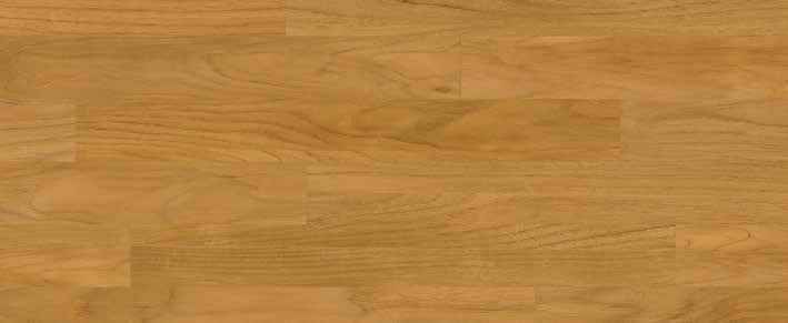 Teak Teak India