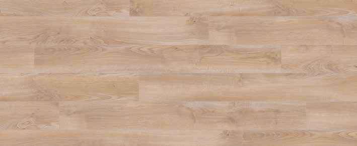 Teak Teak India
