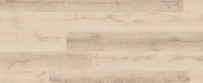 Teak Teak India