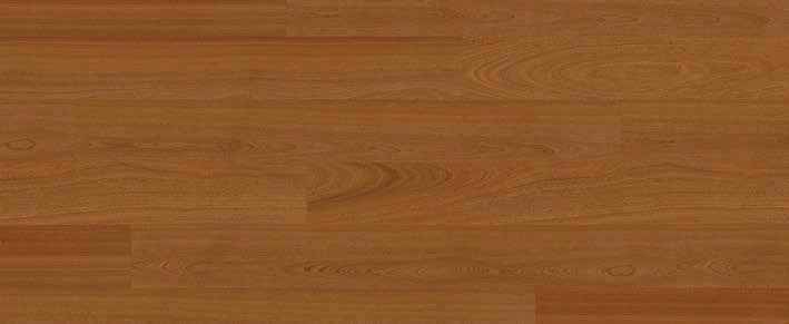 Teak Teak India