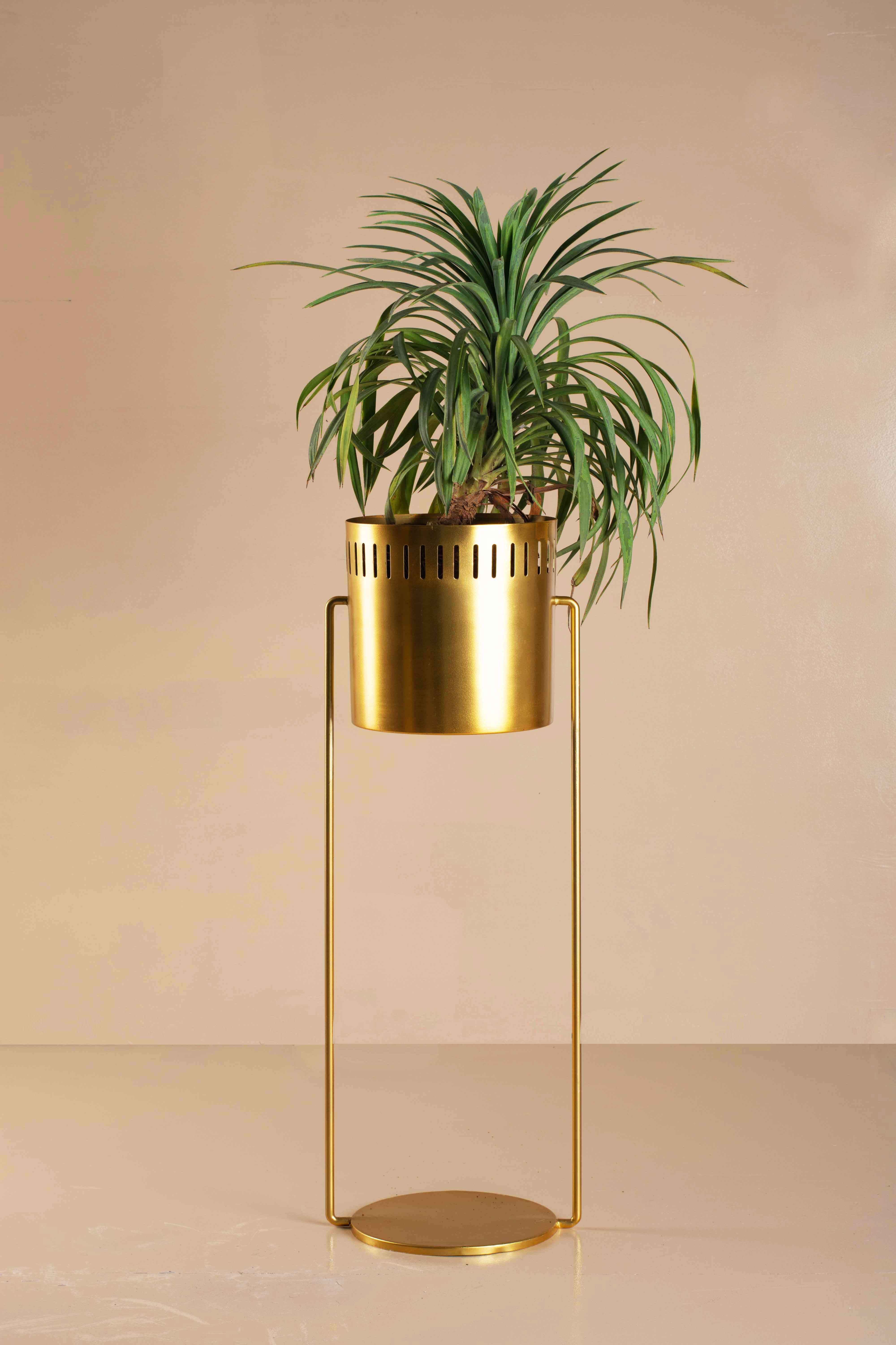 Vega Hanging Planter