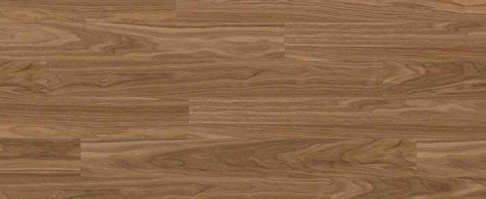 Teak Teak India
