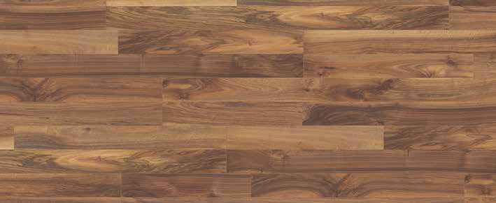 Oak Umber