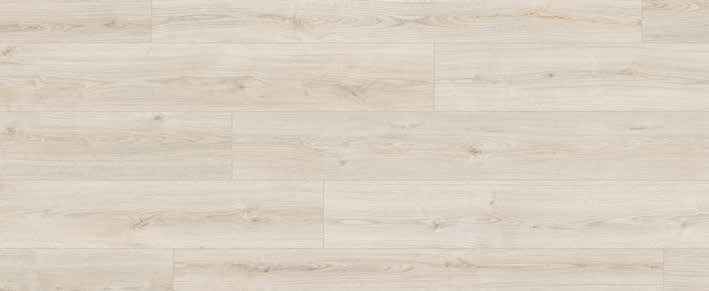 Eiche Oak Evoke Delight