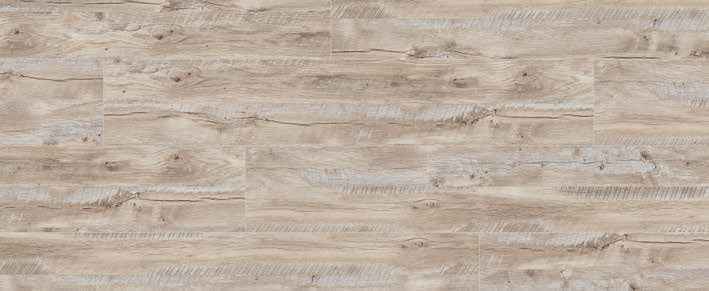 Teak Teak India
